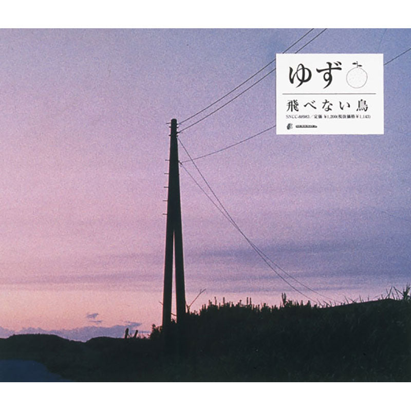 飛べない鳥 – TOY'S STORE