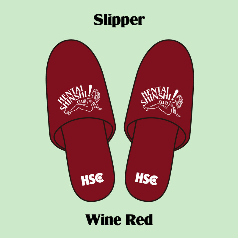 Slipper BROWN