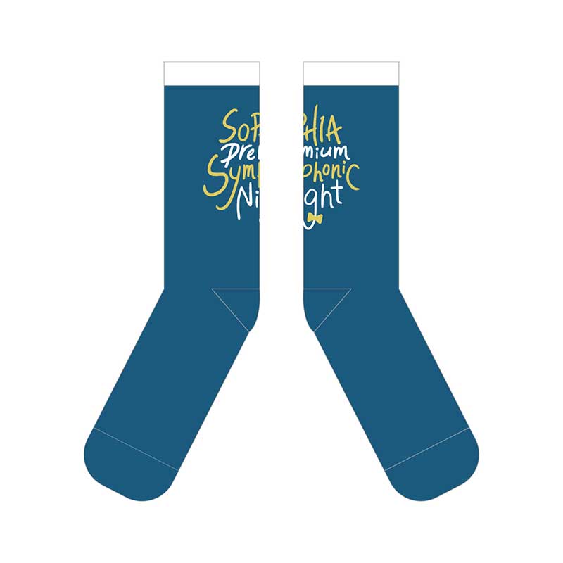 Premium Symphonic Night in YOKOHAMA BUNTAI 靴下