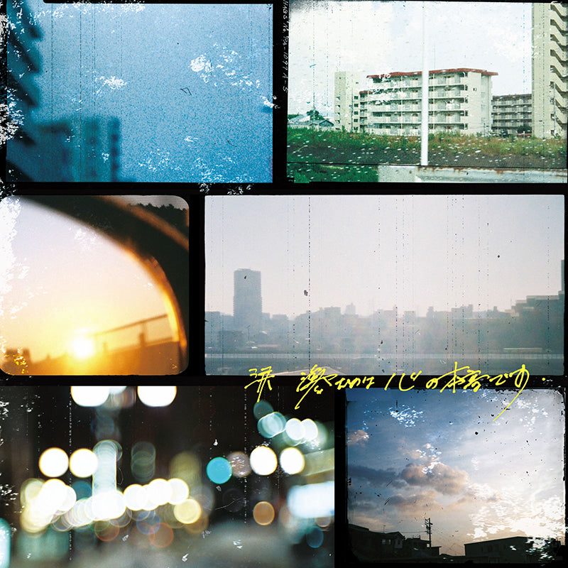 涙 滲むのは心の本音です.