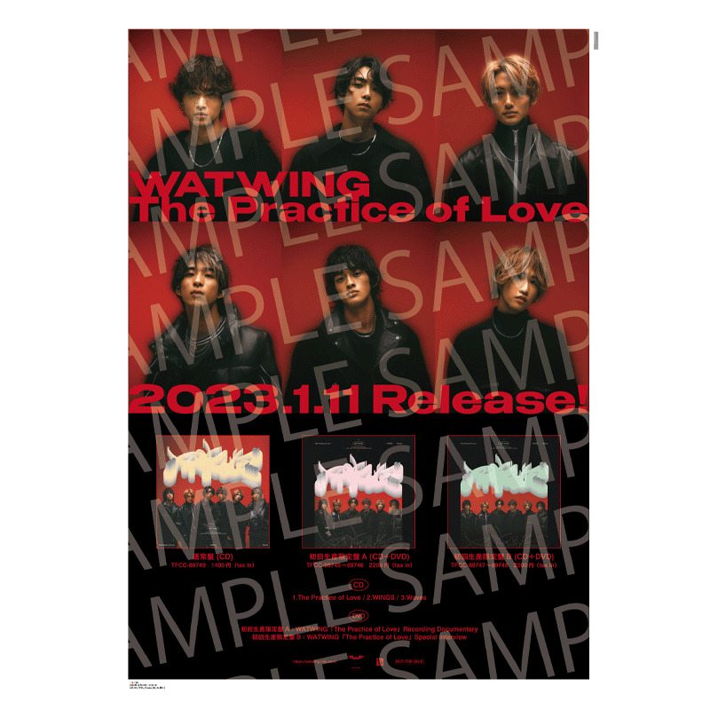 The Practice of Love 通常盤(CD)