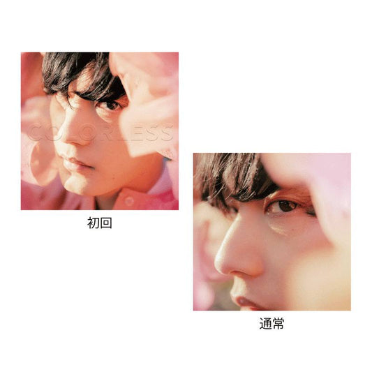 COLORLESS Sticker (通常）