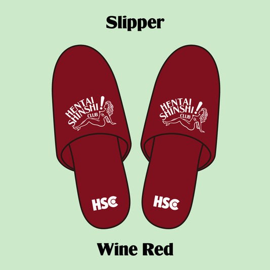 Slipper BROWN