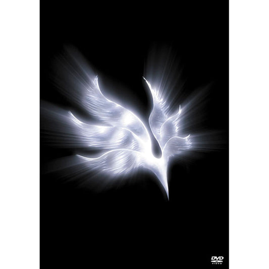 ［DVD］orbital period