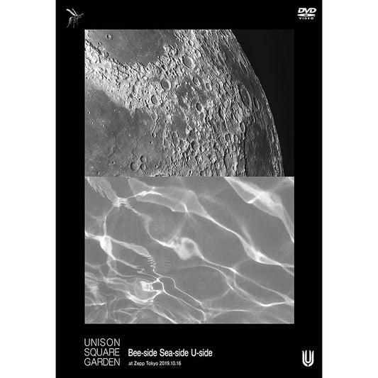 ［DVD］Bee-side Sea-side U-side」at Zepp Tokyo 2019.10.16
