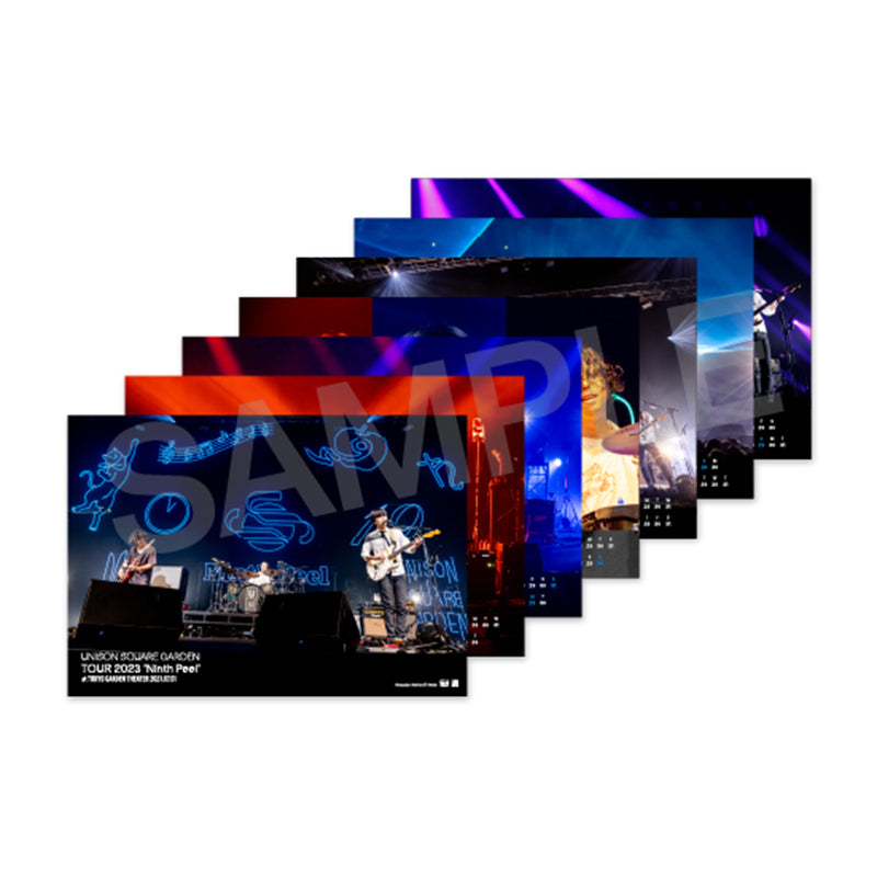 Amazon.co.jp: 【外付け特典あり】 LIVE DVD 『B'z LIVE-GYM