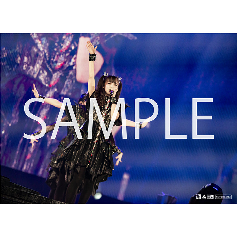 BABYMETAL ARISES - BEYOND THE MOON - LEGEND - M -（通常盤 DVD）