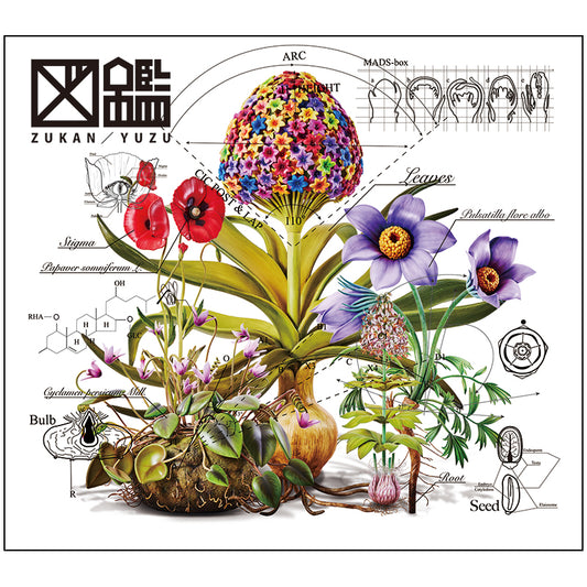 【CD+Blu-ray】図鑑(初回生産限定盤)