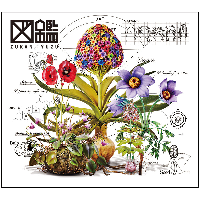 【CD＋Blu-ray】図鑑（初回生産限定盤）
