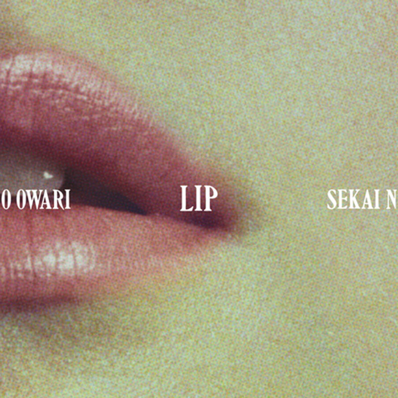 Lip（通常盤）