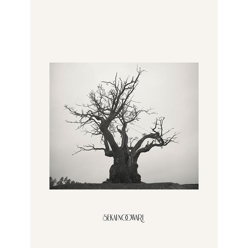 SEKAI NO OWARI 2010-2019 完全生産限定プレミアムBOX 【2CD+DVD+ヒストリーブック+スペシャルコンテンツ】数量限定