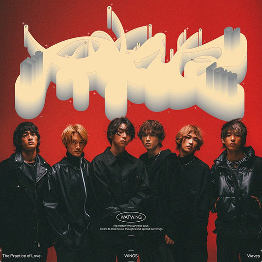 The Practice of Love 通常盤(CD)