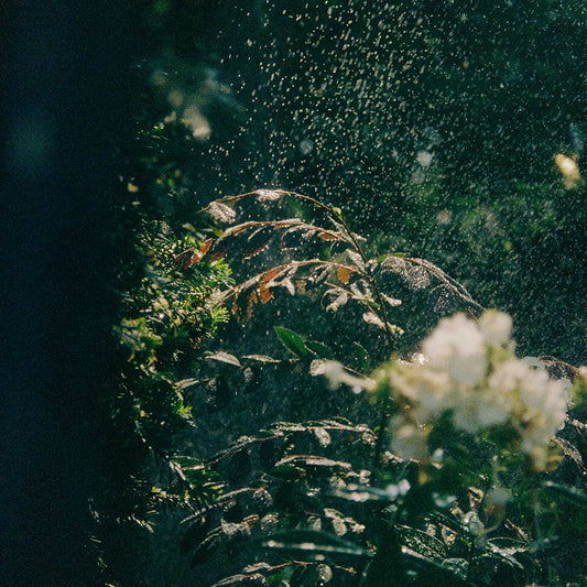 運命さがし EP（通常盤 CD Only）