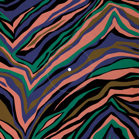 RIVIERA［12inch Vinyl］