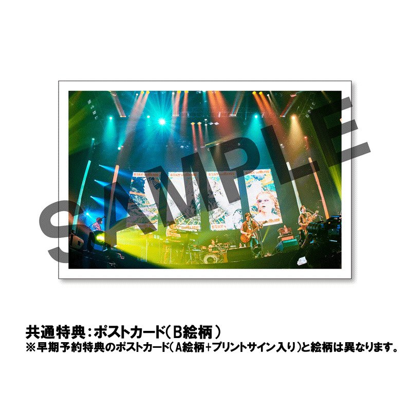 商品詳細ページ | OKKAKE商店 | 「MACAROCK'N LIVE-1」【初回