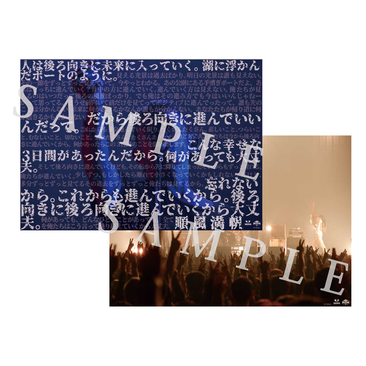 BRAHMAN – TOY'S STORE